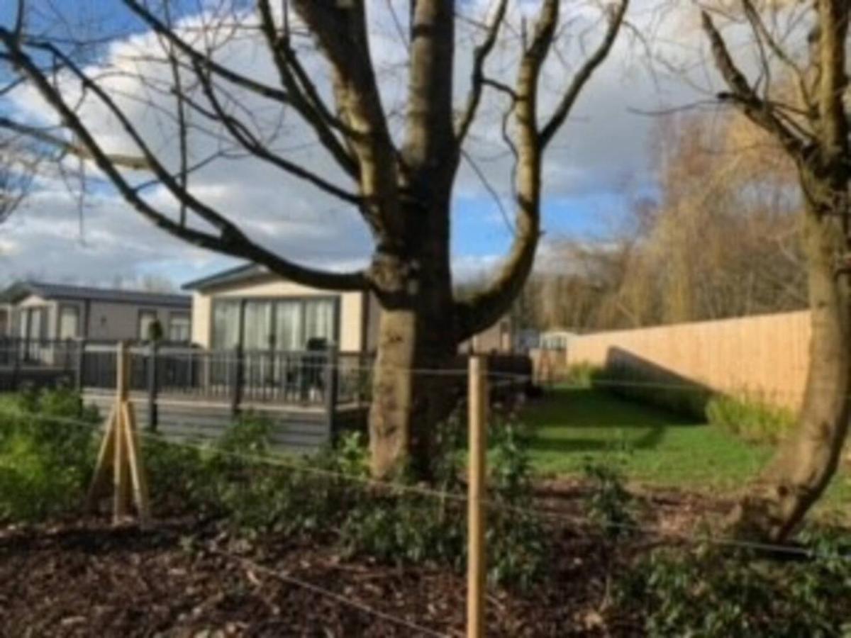 Captivating Bluebell Lodge 2-Bed Cotswolds Caravan 시런세스터 외부 사진